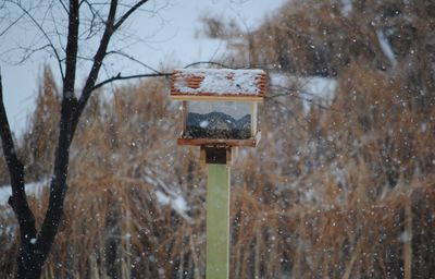 Close-up of birdhouse on snow covered field