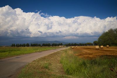 Scenic view of agricultural field against sky