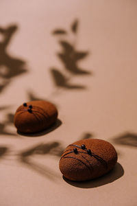 Close-up of food
