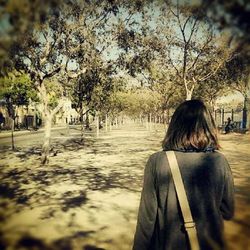 Rear view of woman standing by tree