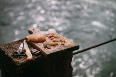 Close-up of chopped fish on cutting board against sea