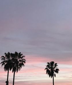Low angle view of silhouette palm trees against sky