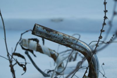 Close-up of abandoned bicycle handlebar