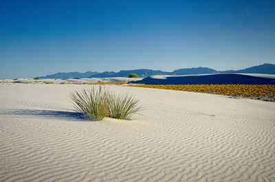 Scenic view of desert against clear blue sky