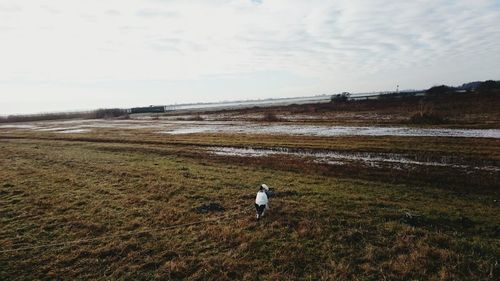 Man standing on agricultural field against sky