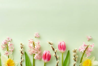 Close-up of pink flowers