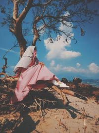 Low angle view of tree on beach against sky