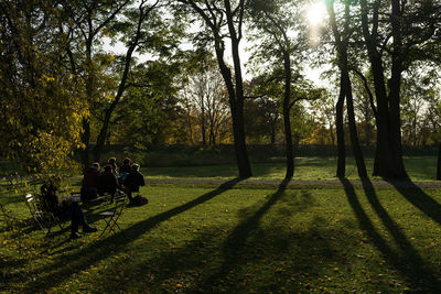 Man in park during sunset