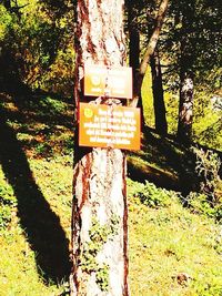 Information sign on tree trunk