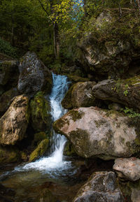 Stream flowing through rocks in forest