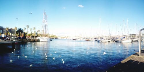 Boats in harbor