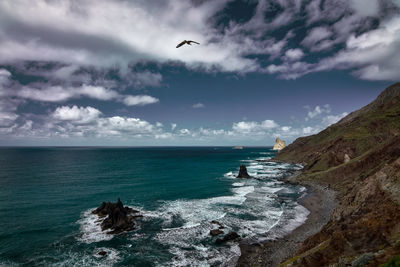 Anaga seacoast, in the north-east of the tenerife islands. 