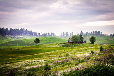 Scenic view of field against sky