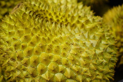 Close-up of pineapple