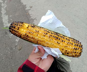 Close-up of person holding ice cream