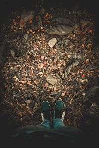 Low section of man standing on autumn leaves in forest