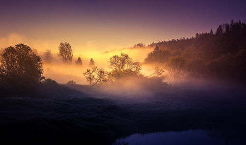 A beautiful river morning with mist and sun light. springtime scenery of river banks in europe.