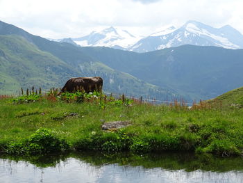 Scenic view of a mountain range against the sky