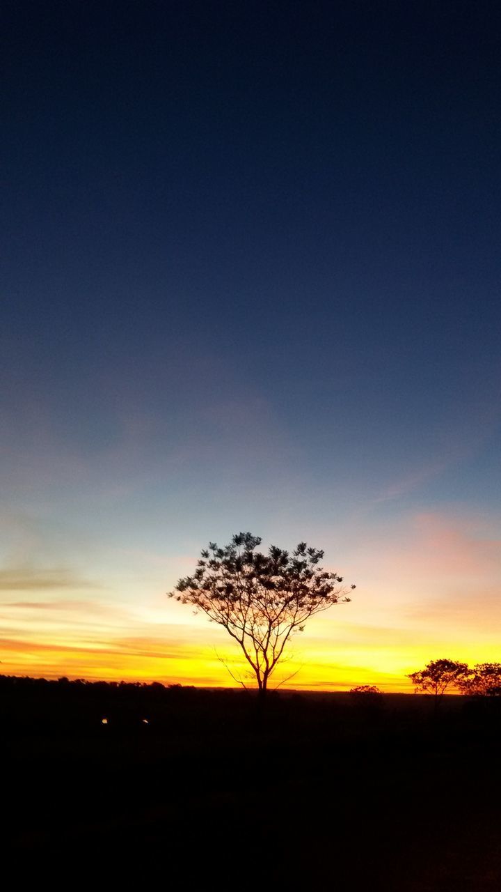 sunset, sky, tree, nature, silhouette, scenics, beauty in nature, no people, outdoors, single tree, astronomy, star - space