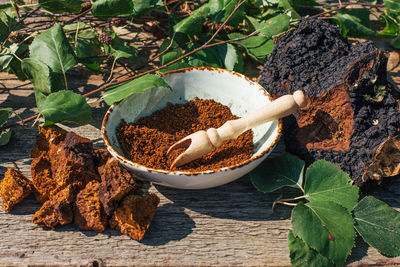 Chaga tea - a strong antioxidant, boosts immune system. healthy pure  natural. wild chaga mushroom