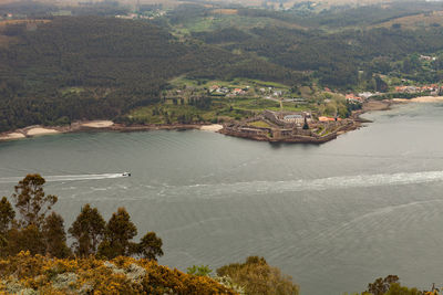 High angle view of sea and trees