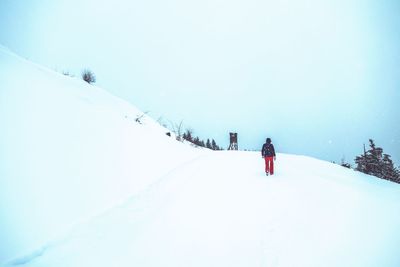 Rear view of person skiing on snow covered mountain