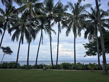 Palm trees by sea against sky