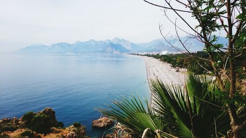 Scenic view of beach