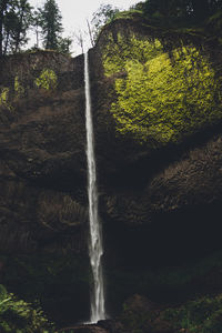 Low angle view of waterfall in forest
