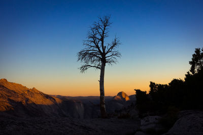 Silhouette trees on landscape against clear sky during sunset