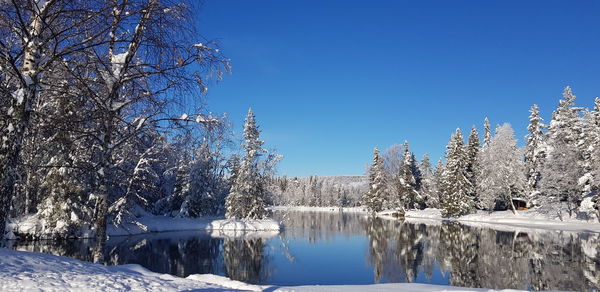 Scenic view of lake against clear blue sky during winter