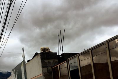 Low angle view of storm clouds over city