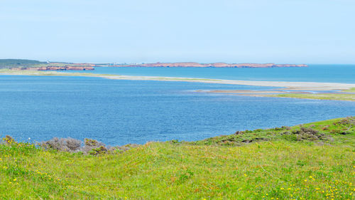 Scenic view of sea against clear sky