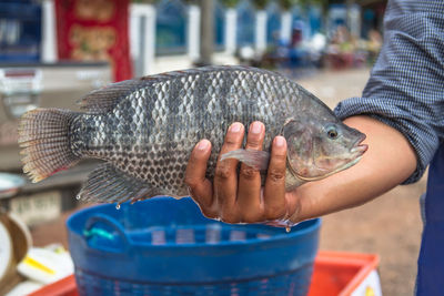 Cropped hand of vendor holding fish at market