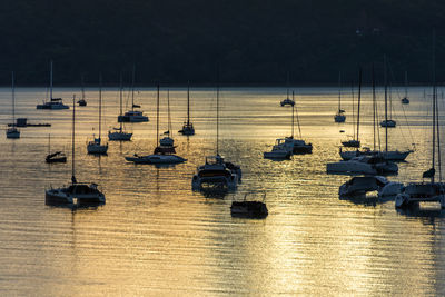 High angle view of sailboats moored in marina