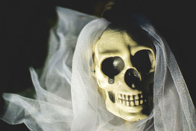 Close-up of human skull and veil on field at night