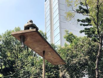 Low angle view of bird on building against sky