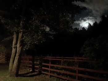 Trees on landscape against sky at night