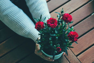 High angle view of potted plant