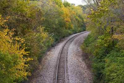 Railroad track amidst trees during autumn
