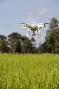 Airplane flying over field against sky