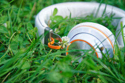 White headphone lies on the grass