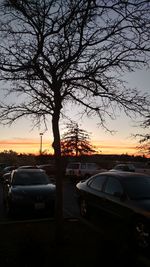 Cars on road at sunset