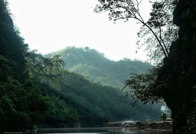 Scenic view of river in forest against sky