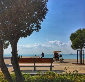 Man sitting on bicycle by tree on beach against sky