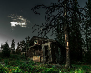 Abandoned, old cabin in the woods. high quality photo