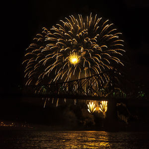 Firework display at night