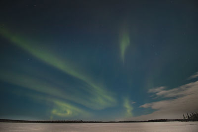 Breathtaking green dancing aurora borealis in the dark sky in sirkka, lapland, northern finland.