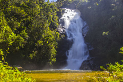 Scenic view of waterfall in forest