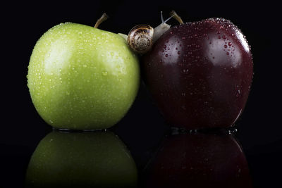 Close-up of snail on wet apples against black background